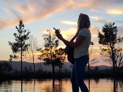 guitar
